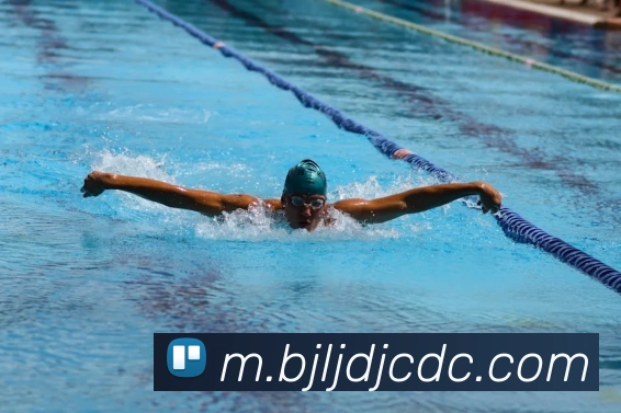 澳门百家乐网站服务体系